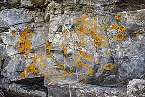 Granite with orange licken