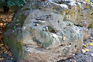 Granite is rich in quartz, mica and feldspar photographed in daylight in Bavaria