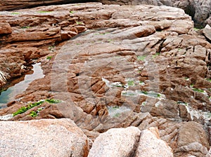 Granite Rock and Algae in Shek O Coast in Hong Kong photo