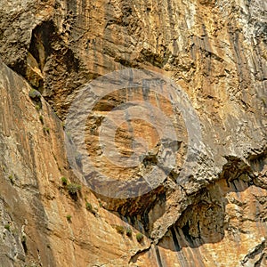 Granite rock close-up, detail of a Transylvanian mountain ridge