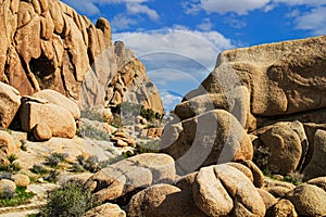 Granite rock formations in Joshua Tree National Park, California. USA