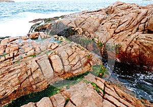Granite Rock and Algae in Shek O Coast in Hong Kong photo