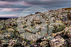 Granite rock mountain in Lapland