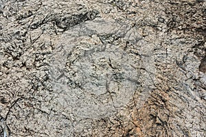 granite rock texture with dry leaf