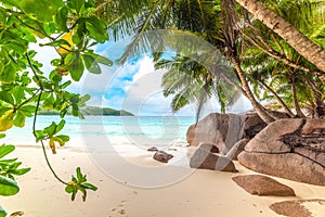 Granite rocks and coconut palm trees in Anse Lazio beach