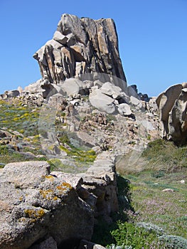 Granite rocks with mediterranean vegetation, Capo Testa, Santa Teresa Gallura, Italy photo