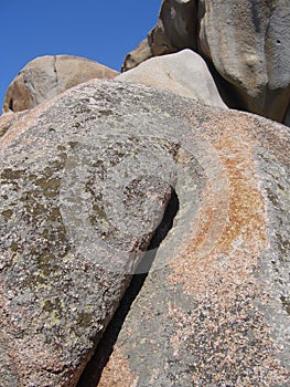 Granite rocks with mediterranean vegetation, Capo Testa, Santa Teresa Gallura, Italy photo