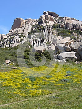 Granite rocks with mediterranean vegetation, Moon`s Valley, Capo Testa, Santa Teresa Gallura, Italy
