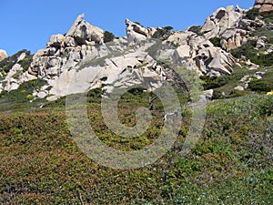 Granite rocks with mediterranean vegetation, Moon`s Valley, Capo Testa, Santa Teresa Gallura, Italy