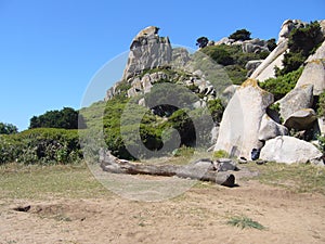 Granite rocks with mediterranean vegetation, Moon`s Valley, Capo Testa, Santa Teresa Gallura, Italy