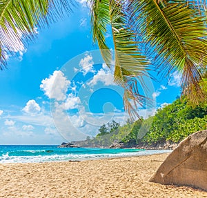 Granite rocks and palm trees in Anse Intendance beach