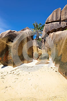 Granite rocks and palms on island La Digue in Seychelles
