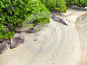 Granite rocks and sand in Anse bois de rose shore