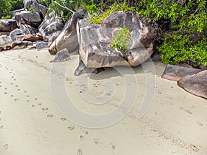 Granite rocks and sand in Anse Citron shore