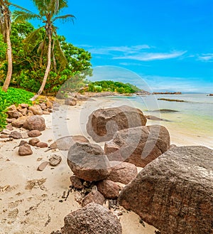 Granite rocks and white sand in Anse Consolation