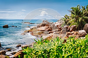 Granite rocky coastline on tropical La Digue island, Seychelles. Beautiful palm trees, boulders and pacific ocean