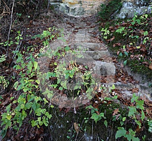 Granite steps covered in moss, fallen leaves and young plants on the Devil\'s Staircase trail in Janesville, Wisconsin