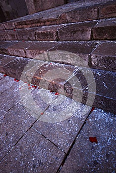 Granite steps with rose petals