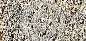 Granite stone background. granite slab in nature