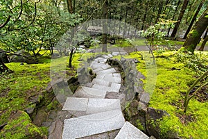 Granite Stone Steps along Mossy Green Landscape