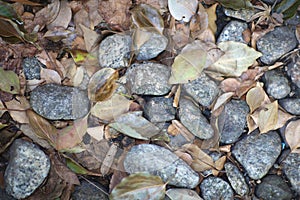 Granite stones