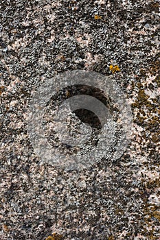 Granite surface overgrown with moss