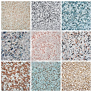 Granite tiles collection