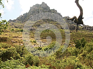 Granitic mountains and deforested hills of Peneda-GerÃªs national park in northern Portugal