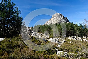 The granitic peaks of Monte Limbara