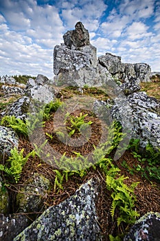 Granitic ridge of Chiroubles, Beaujolais, France