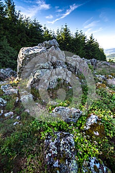Granitic ridge of Chiroubles, Beaujolais, France