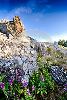 Granitic ridge of Chiroubles, Beaujolais, France