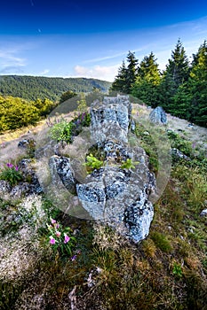 Granitic ridge of Chiroubles, Beaujolais, France