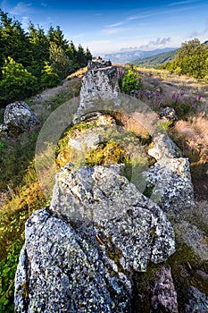 Granitic ridge of Chiroubles, Beaujolais, France