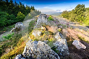 Granitic ridge of Chiroubles, Beaujolais, France