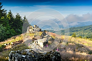 Granitic ridge of Chiroubles, Beaujolais, France