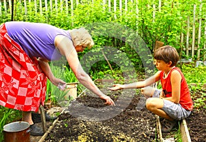 Grannie with grandson work in the summer garden photo