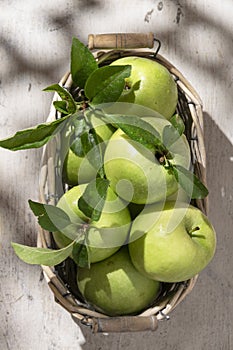 Granny Smith apples in basket. Fresh green fruit on rustic white background