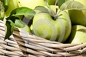 Granny Smith apples in basket. Fresh green fruit on rustic white background
