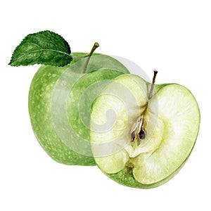 Granny smith green apple watercolor illustration isolated on white background