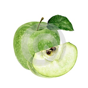 Granny smith green apple watercolor illustration isolated on white background