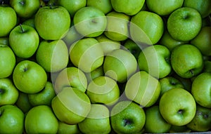 Granny Smith - Green apples