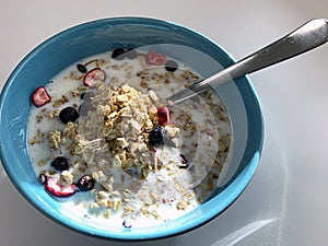 Granola Cereal landscape in sunlight