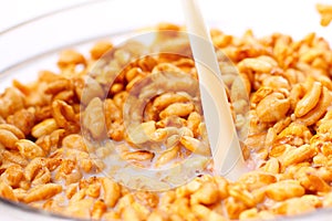 Granola with milk