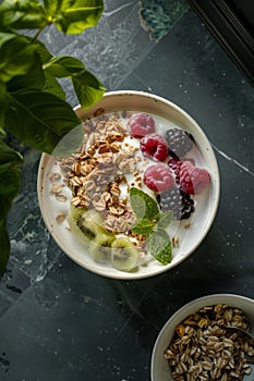 Granola muesli breakfast cereal, with milk and fresh fruit