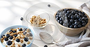 Granola with yogurt and blueberries.