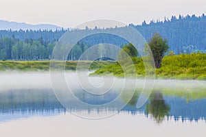 Grant teton national park