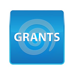 Grants shiny blue square button