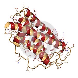 Granulocyte colony-stimulating factor (GCSF, filgrastim) molecule. Used to treat neutropenia