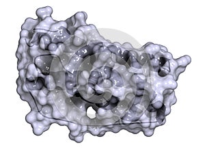 Granulocyte colony-stimulating factor (GCSF, filgrastim) molecule. Used to treat neutropenia